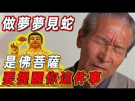 看到蛇徵兆|【看到蛇是什麼意思】蛇出沒該如何應對？民俗專家：看到蛇必做。